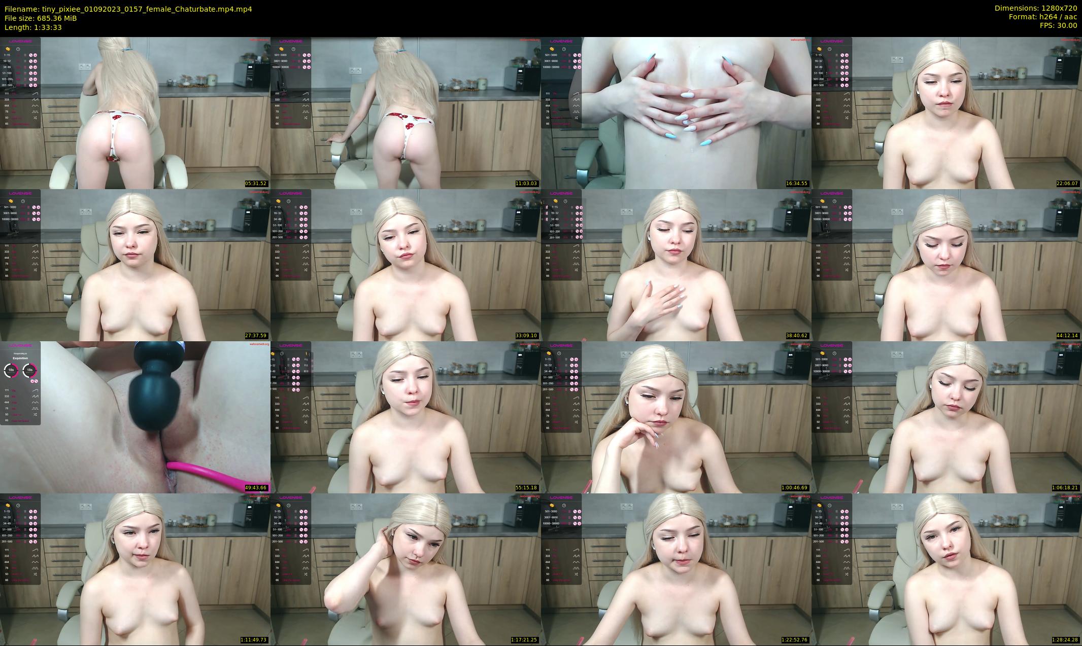 tiny_pixiee