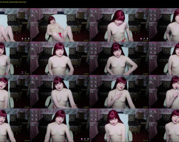 tiny_pixiee