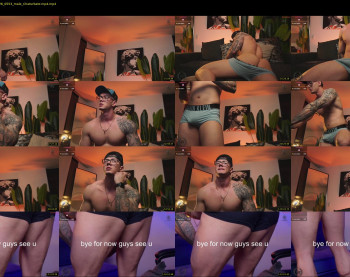 thomas_falcon1 — Chaturbate Male stripcam recording, Jan 8, 2026 05:53