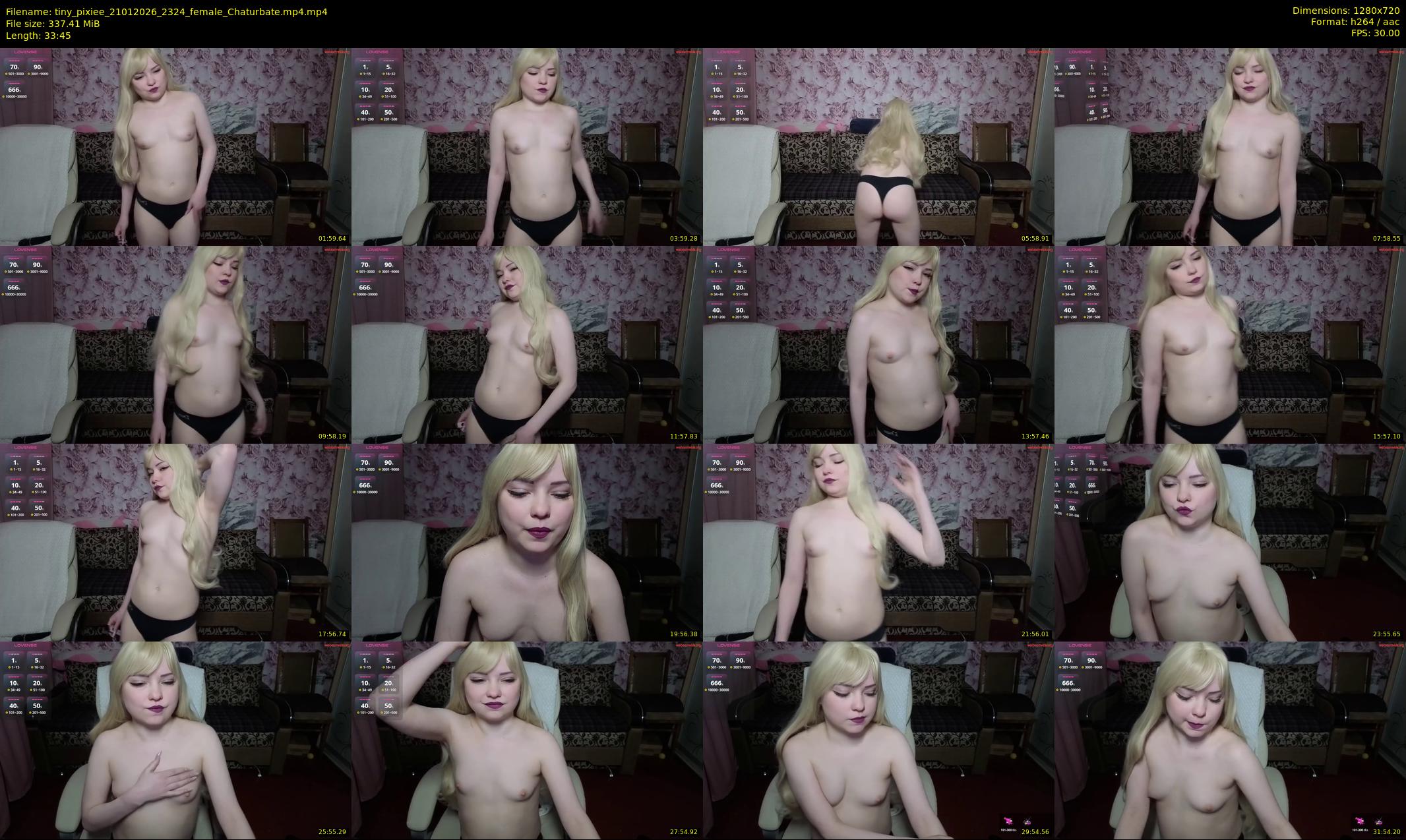 tiny_pixiee