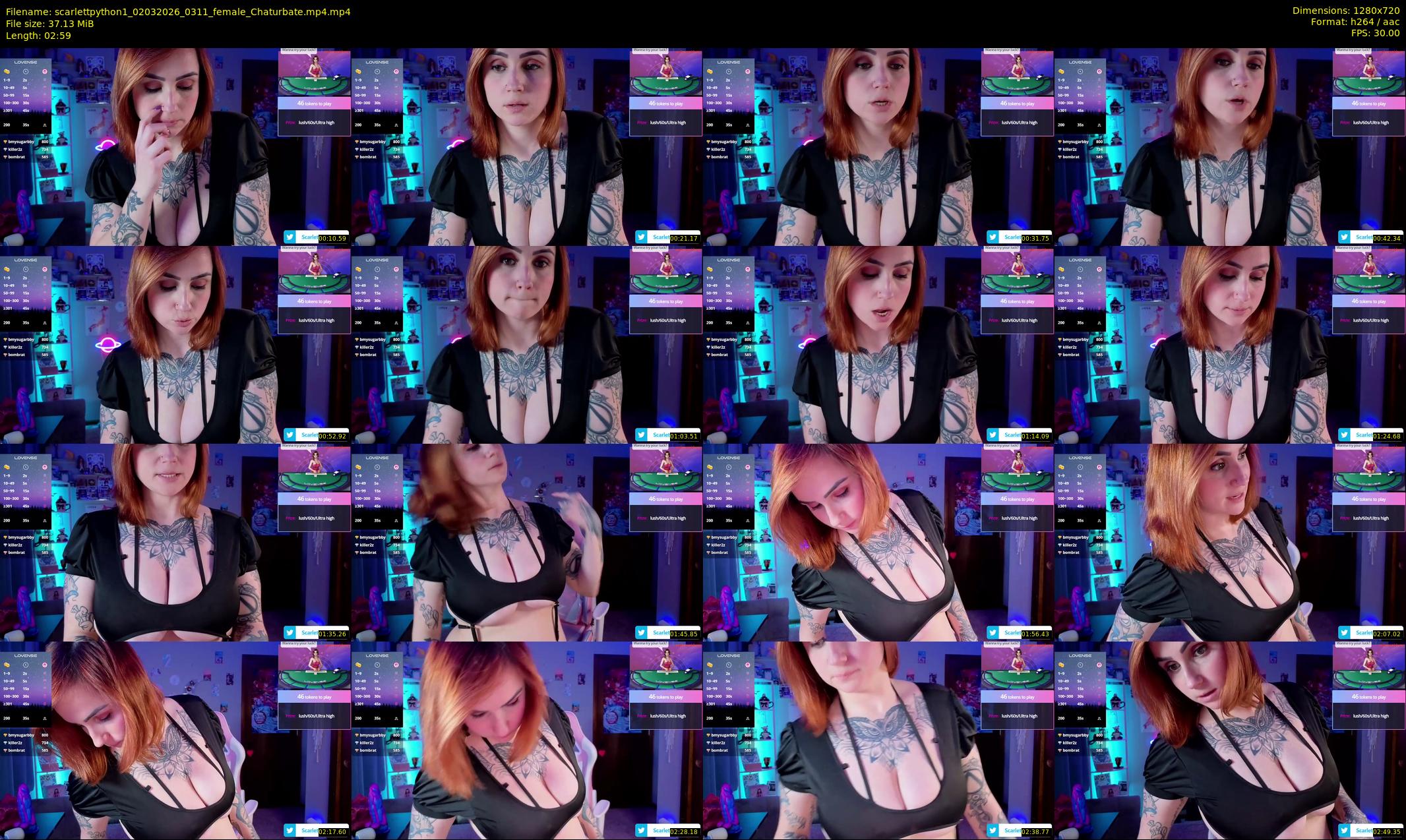 scarlettpython1